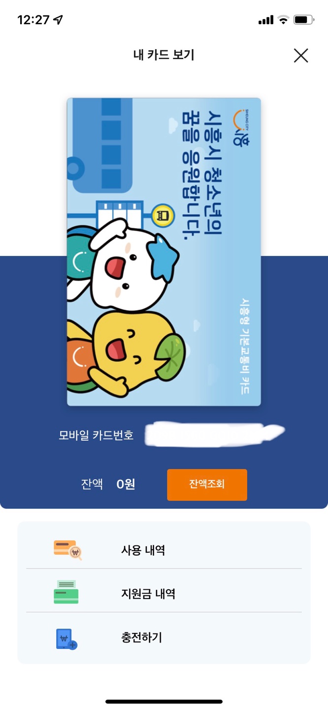 시흥형기본교통비