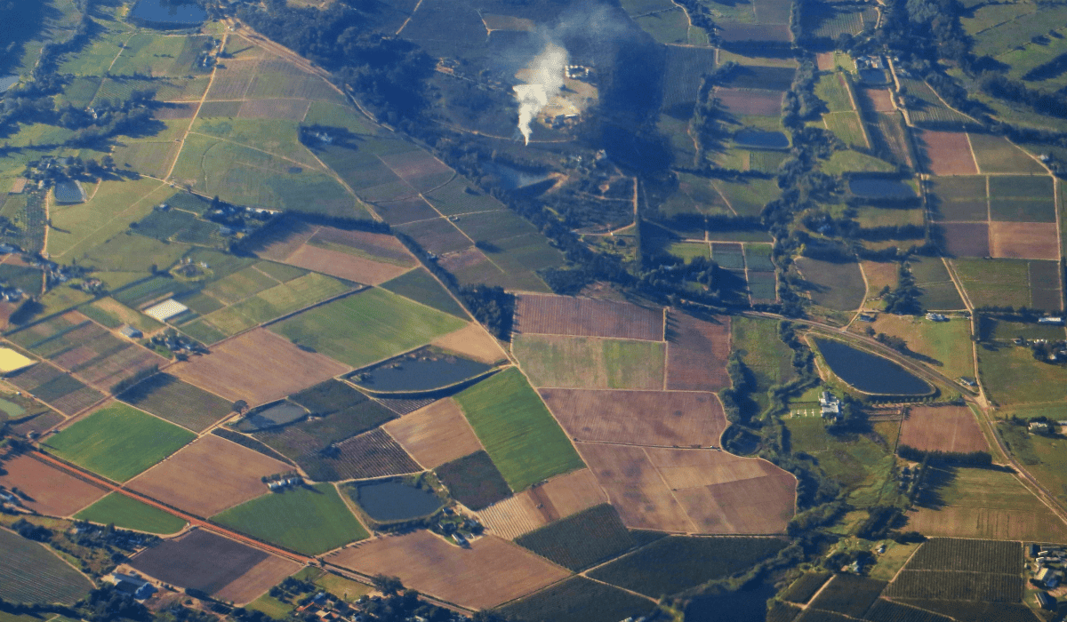 지적도_인터넷_무료검색_5