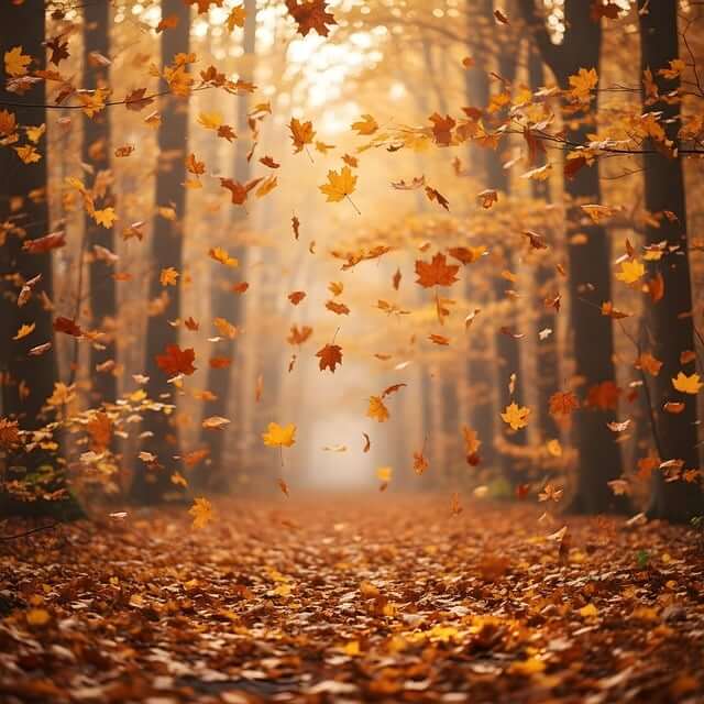 오대산 가을 단풍여행