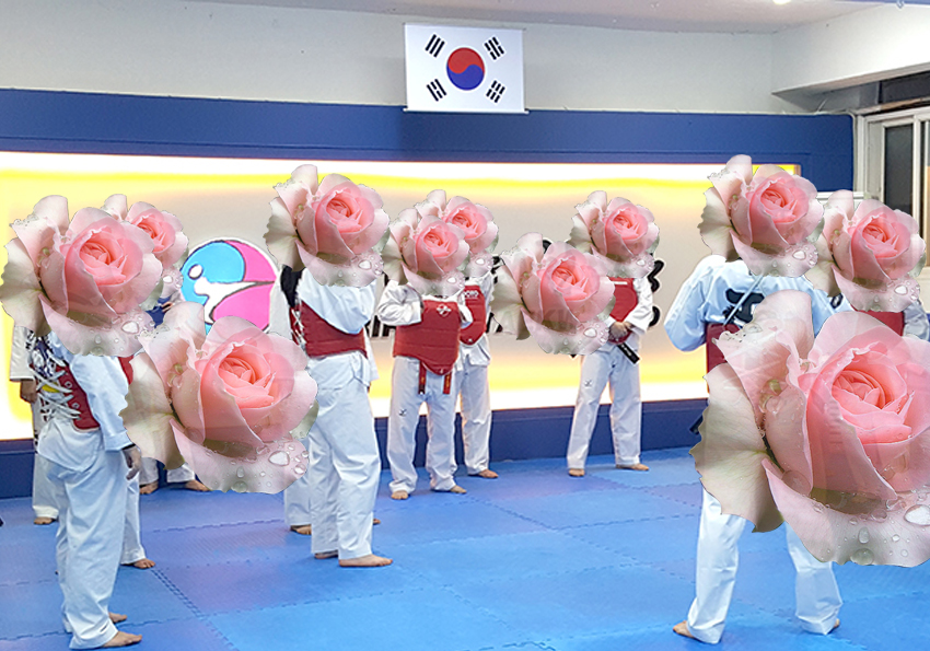 꽃보다 태권도: 장미