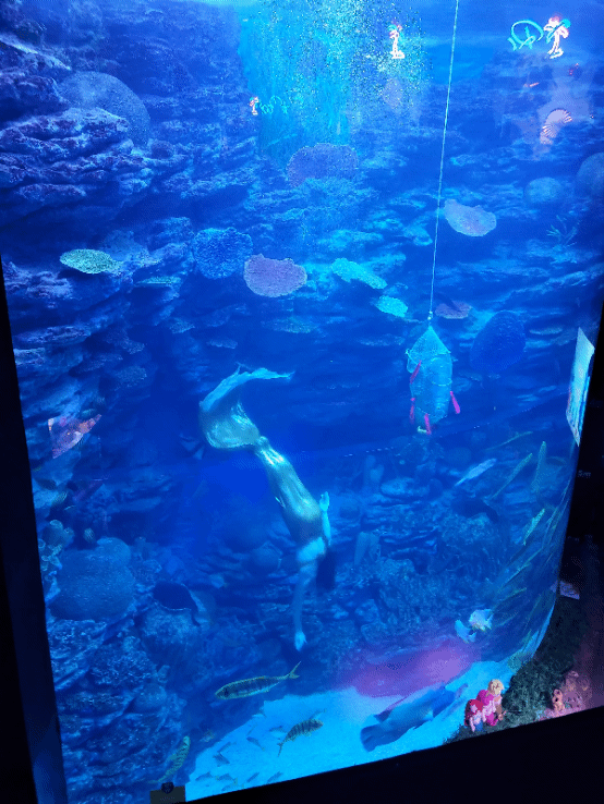 부산 아쿠아리움