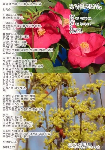 2025년 춘분 청명 봄 절기 인사말 이미지 일러스트_12