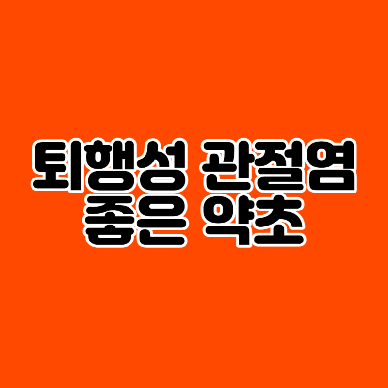 퇴행성 관절염 좋은 약초