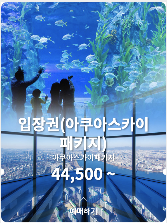 아쿠아스카이 패키지