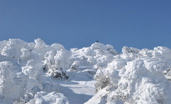한라산 백록샘 개방! 관람 방법&middot;예약 꿀팁 총정리