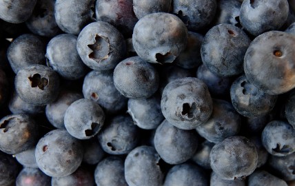 냉동블루베리와 생블루베리 비교 - 장점, 주의사항