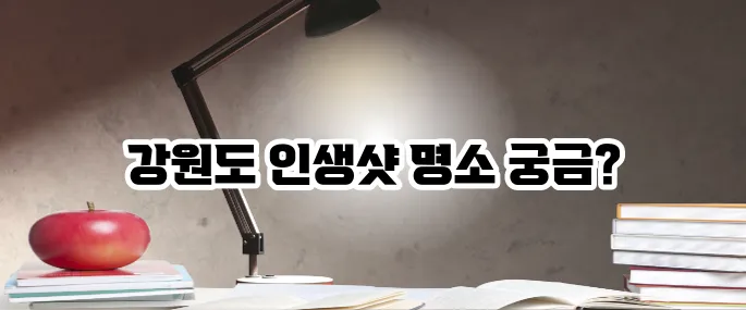 강원도 가볼만한곳 베스트10 인생샷 명소 정리