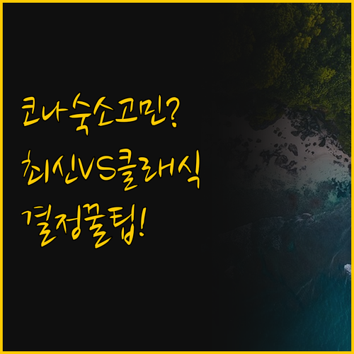 하와이 코나 숙소 선택 고민 해결 현..