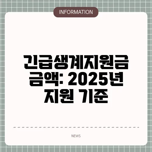 긴급생계지원금 금액: 2025년 지원 기준