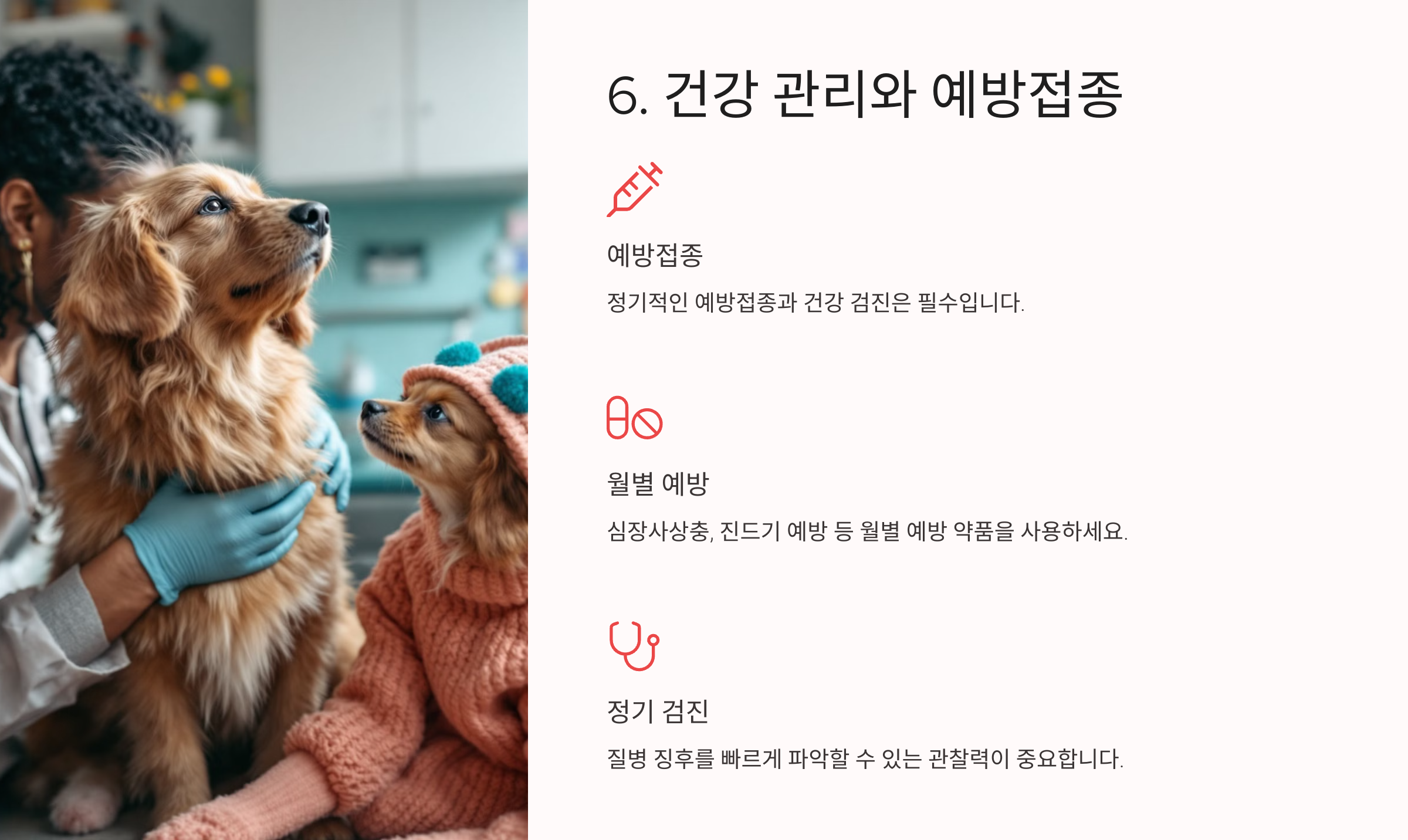 건강 관리와 예방접종