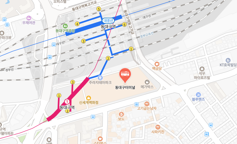 동대구터미널 위치