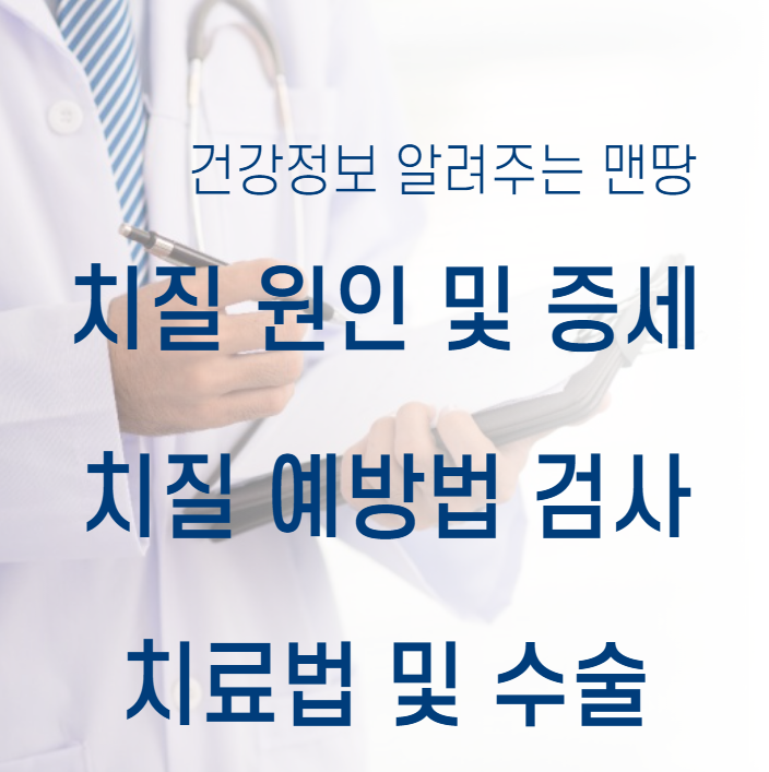 치질