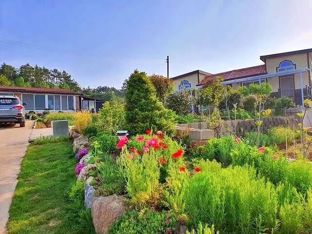 전남 완도 신지도 선상 낚시 체험 슉벅 팬션 민박 비파잎차 비파와인 맛집 가볼만한 곳 추천