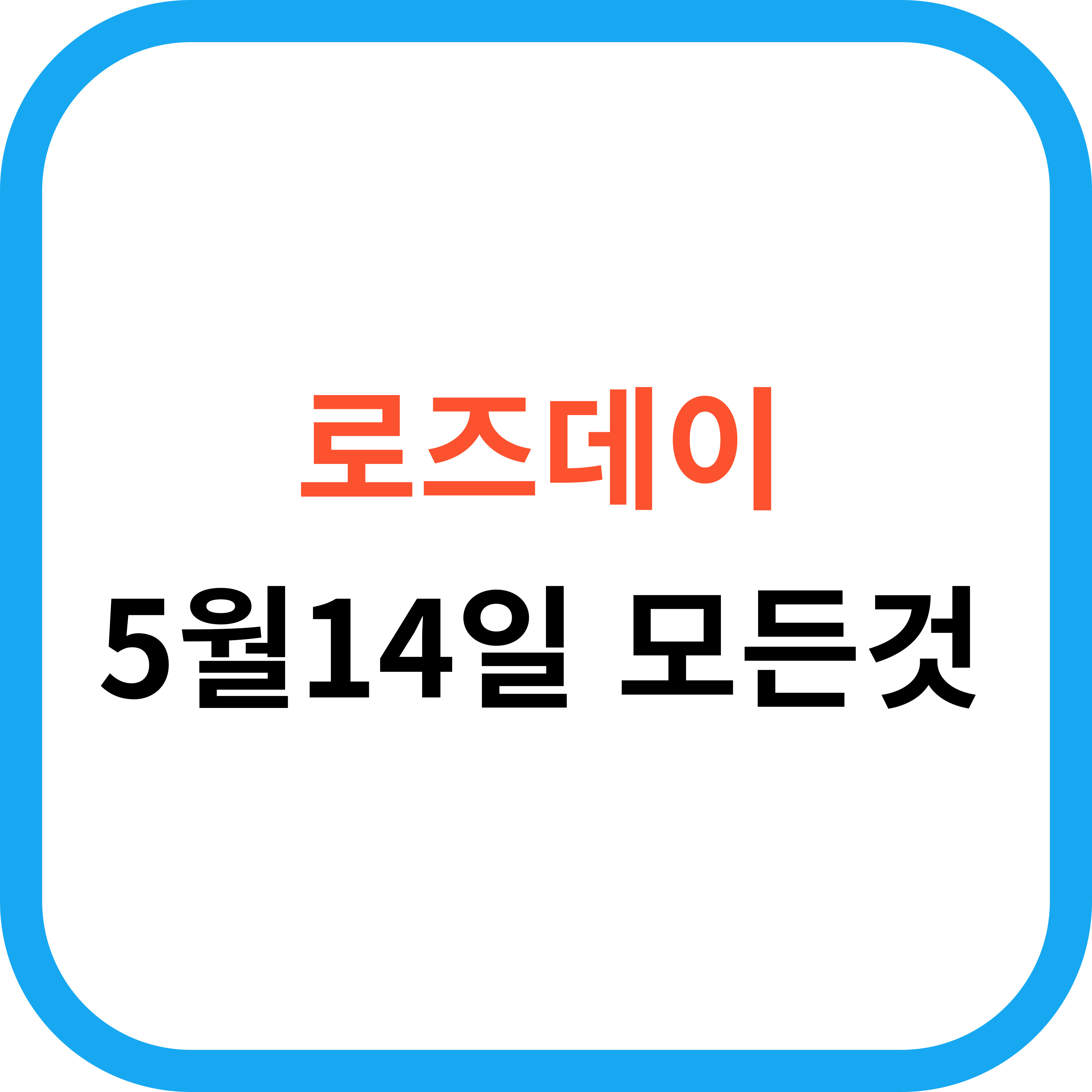 로즈데이 모든것
