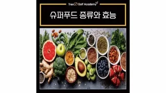 슈퍼푸드 종류 효능_3