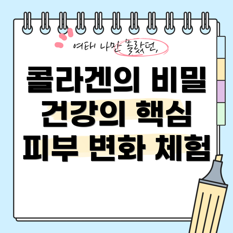 콜라겐의 효능