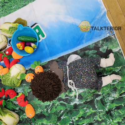 문화센터-에서-배추-파는-아기