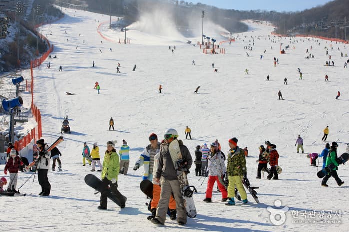 곤지암리조트