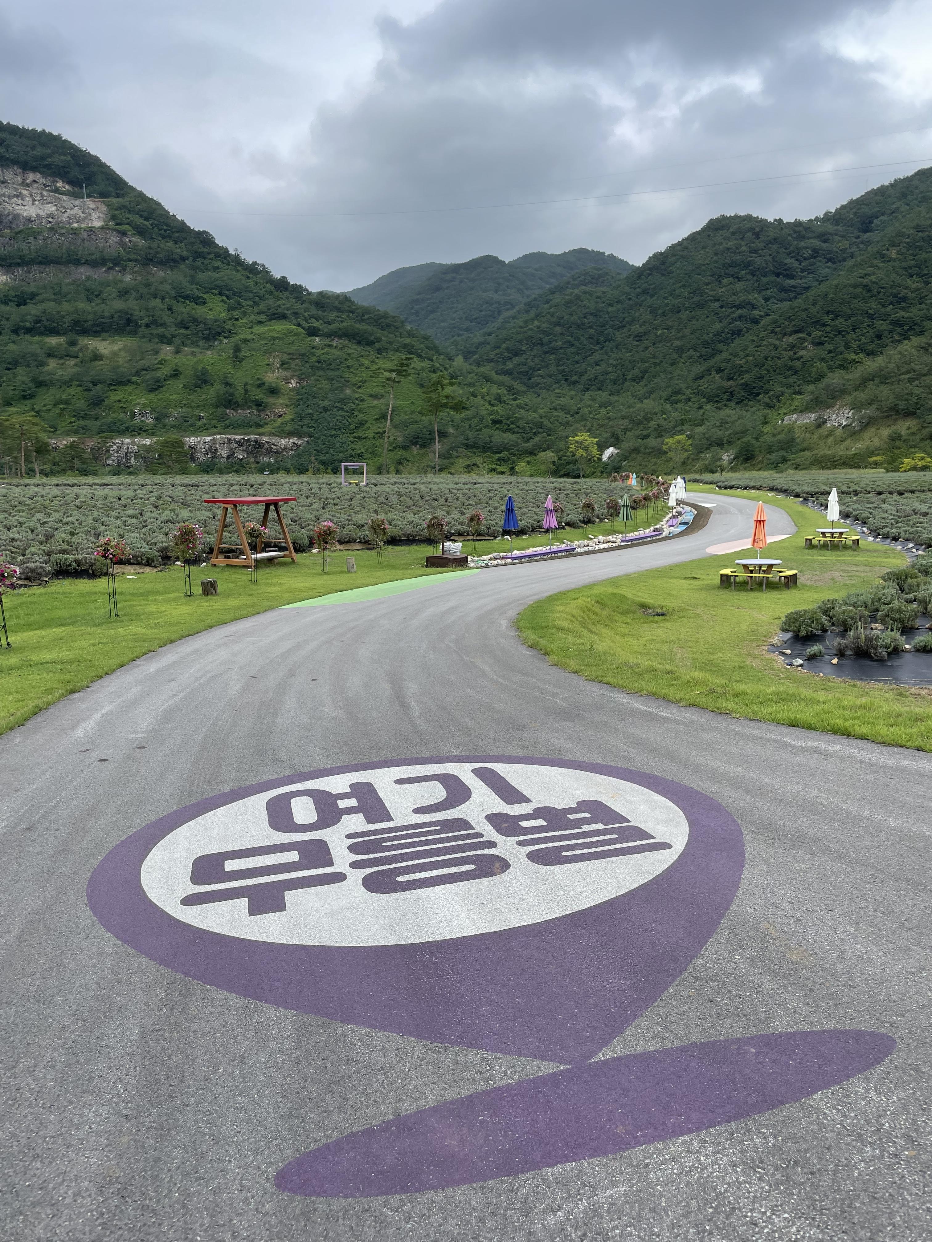 동해 무릉별유천지