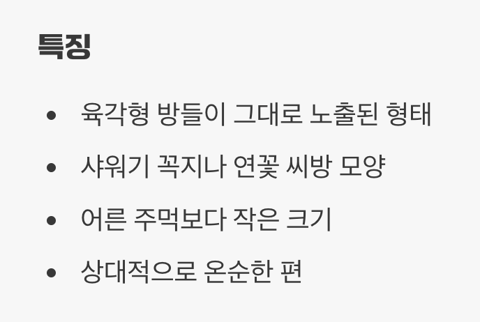 가장 흔한 이웃, 쌍살벌의 샤워기 꼭지