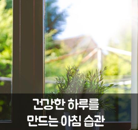 유럽 아침 건강법 따라잡기 (햇빛, 운동, 차문화)