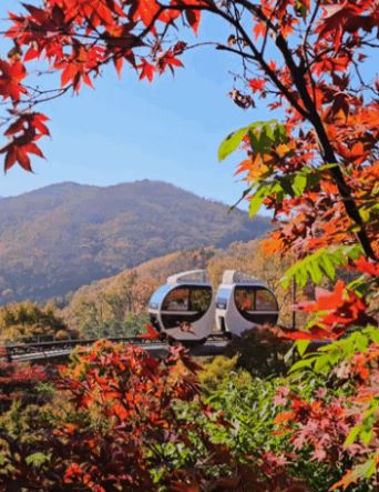 자연 힐링 명소인 화담숲에 대한 이미지