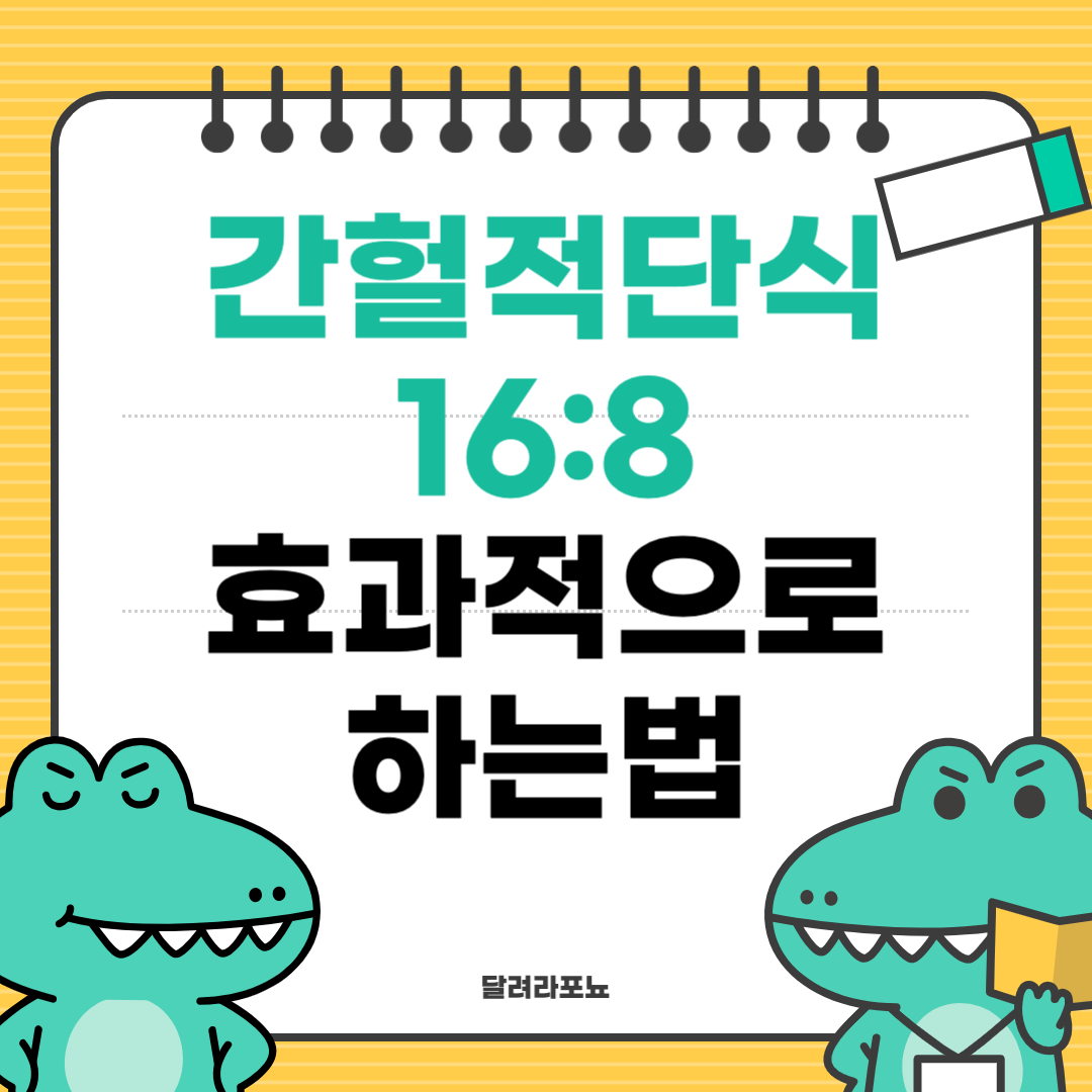 간헐적단식 16:8 효과적으로 하는방법
