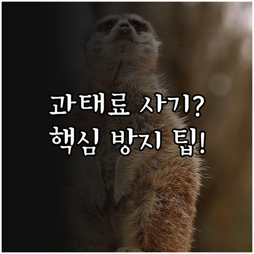 교통법규 위반 과태료 문자 악성 링크..