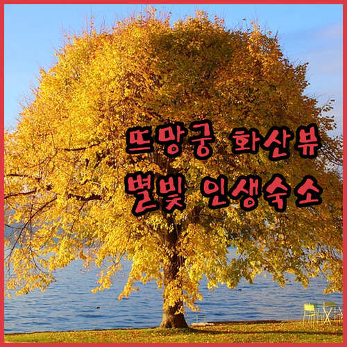 화산 경관부터 별빛 글램핑까지 뜨망궁..