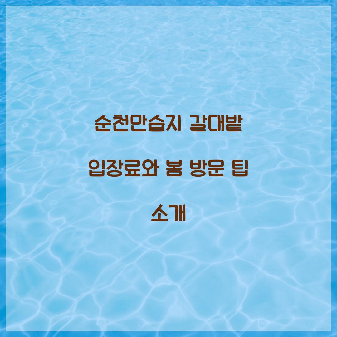 순천만습지 갈대밭 입장료