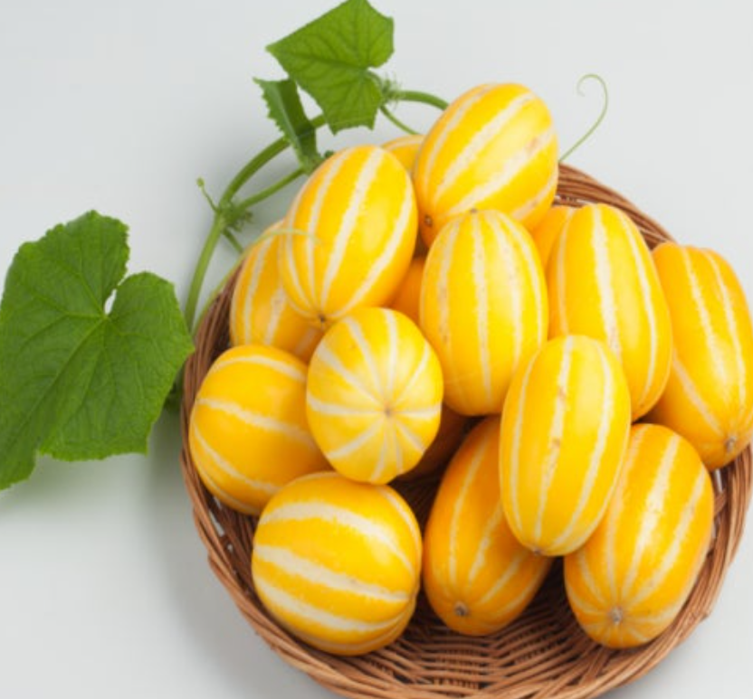 참외-효능-부작용-하루-섭취량-관련-사진