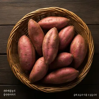 고구마 생고구마 칼로리 고르는 방법_7