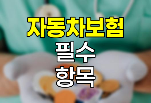 자동차보험 필수 항목 6가지 완벽 이해하기