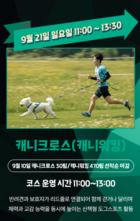 서울 도그스포츠 대회 2025