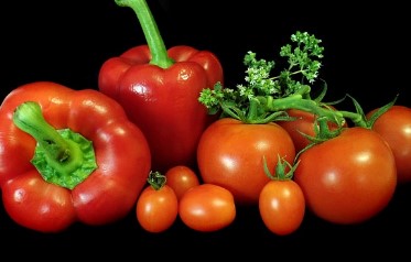 리셋80 다이어트 성공 비법! 체중 감량에 필요한 3가지 핵심 포인트