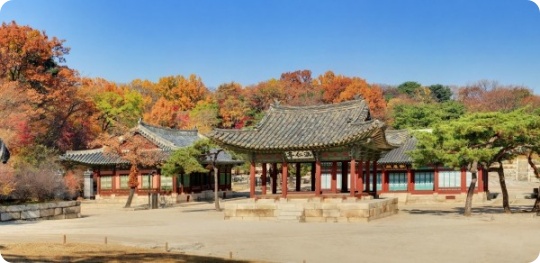 조선왕릉 역사여행 왕릉팔경 예약