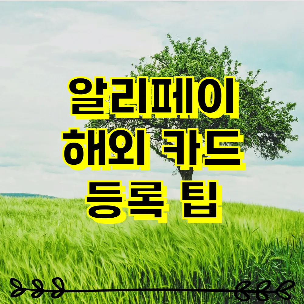 알리페이 해외 카드 등록 팁