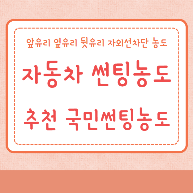 자동차 썬팅농도 추천