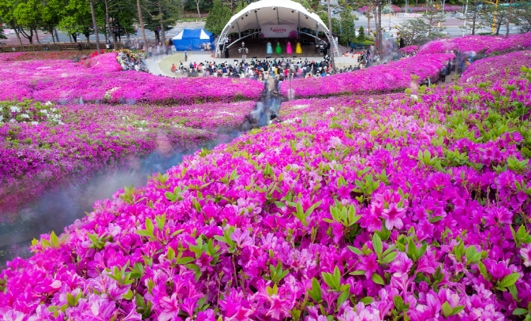 군포 철쭉축제