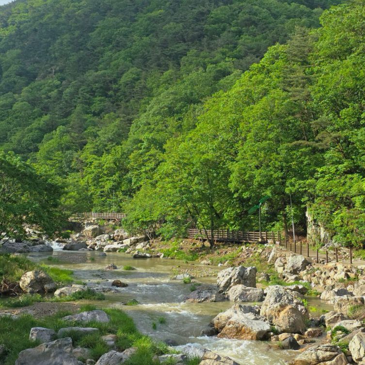 장령산자연휴양림