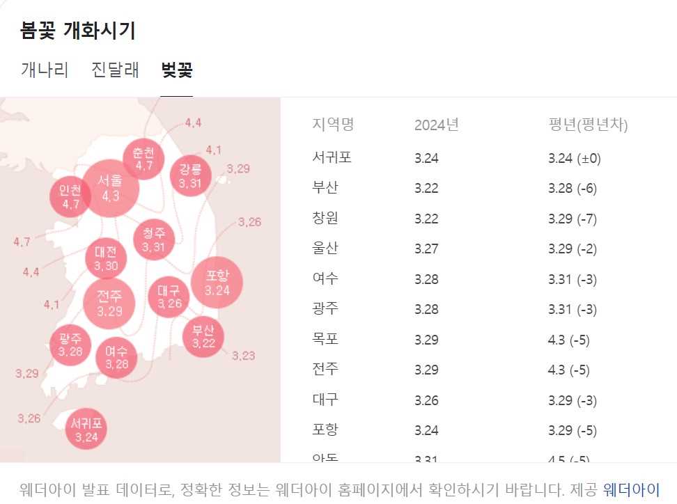 벚꽃개화시기