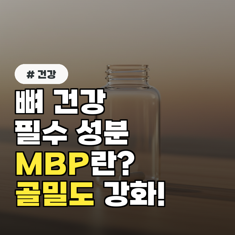 뼈 건강 필수 성분 MBP란 뼈엔 엠비피로 골밀도 강화·골다공증 예방까지!