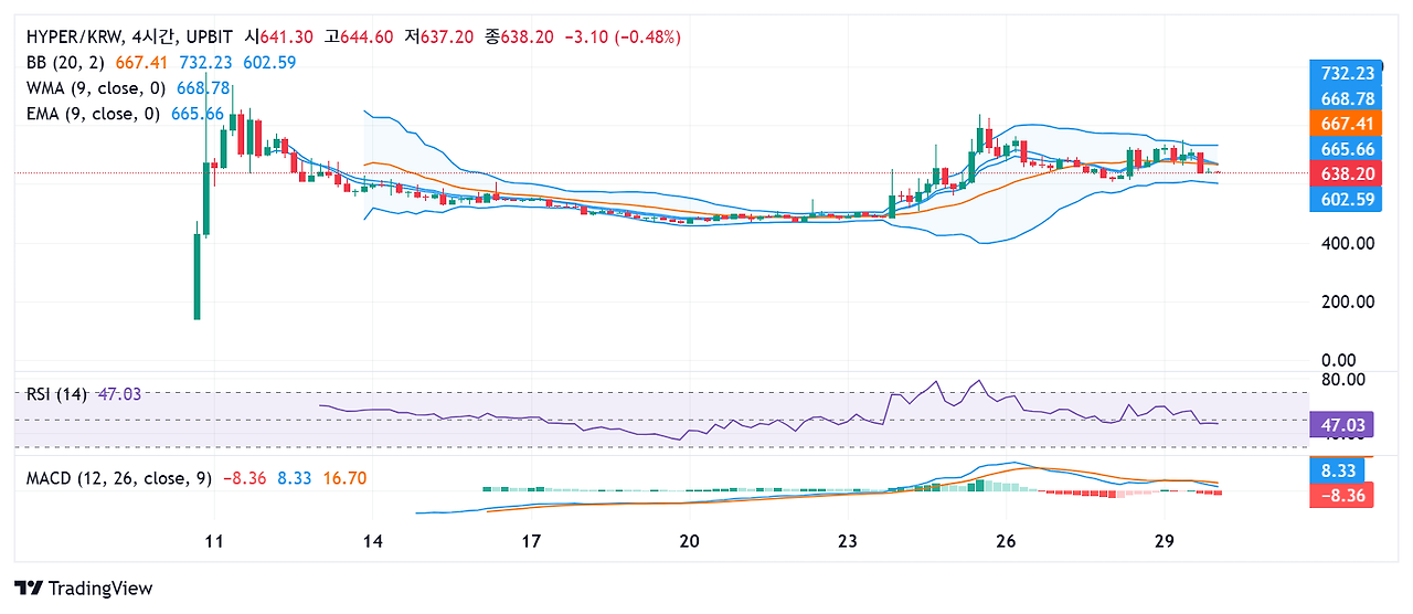 하이퍼레인 코인