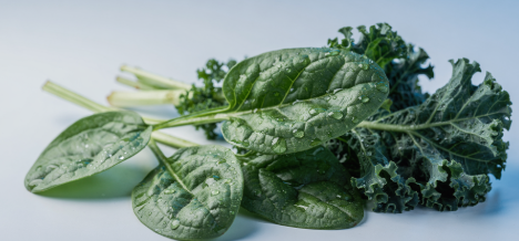 통풍에 좋은 음식