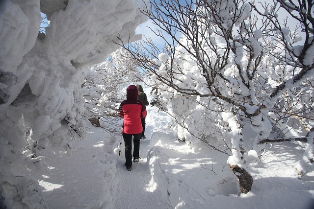 설맹증 이란