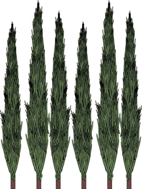 나무 그린 화가들