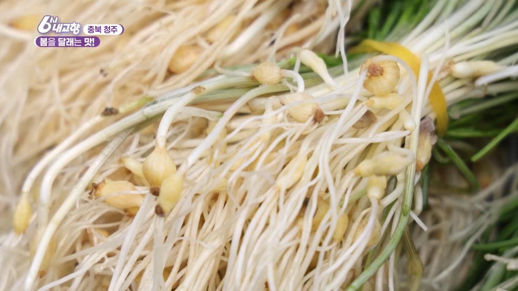 깨끗하게 씻은 6시내고향 청주 달래