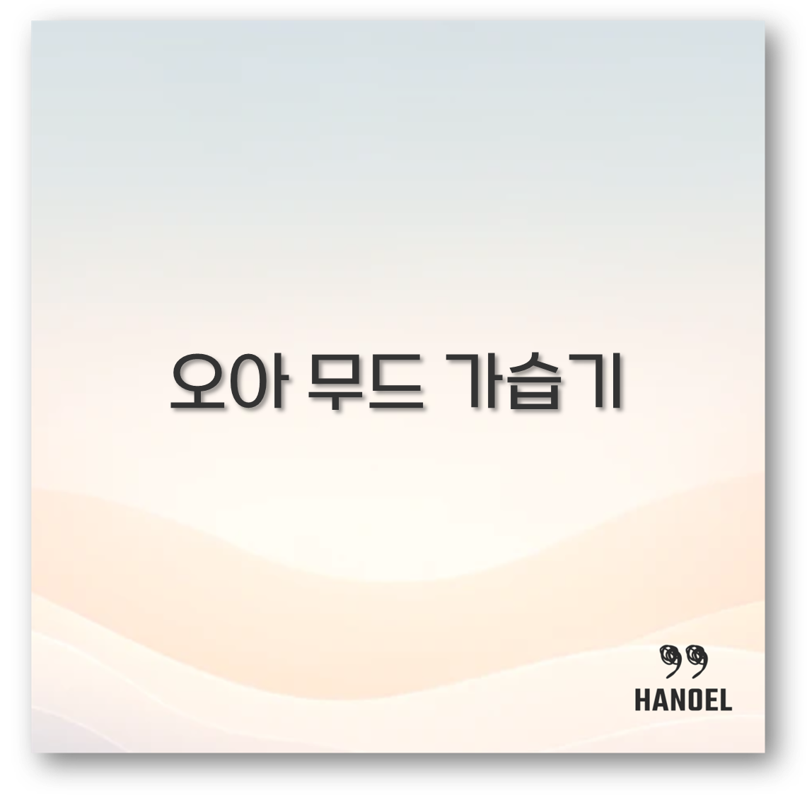 오아 무드 가습기