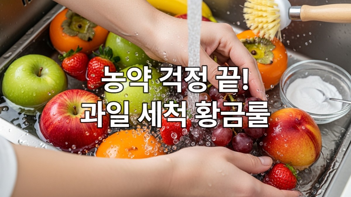 농약 걱정 없이 신선하게 세척되는 다양한 과일(사과, 딸기, 포도, 복숭아, 단감)의 모습