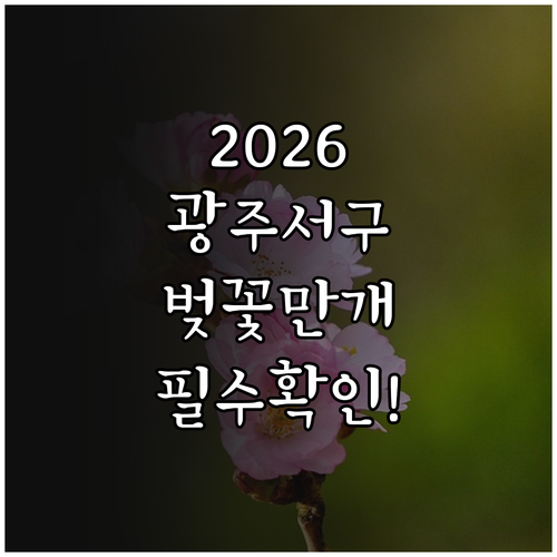 2026년 광주 서구 벚꽃 개화 시기..